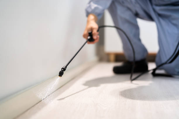 Licensed Pest Control service in Utica, MI - Show Me Pest Control