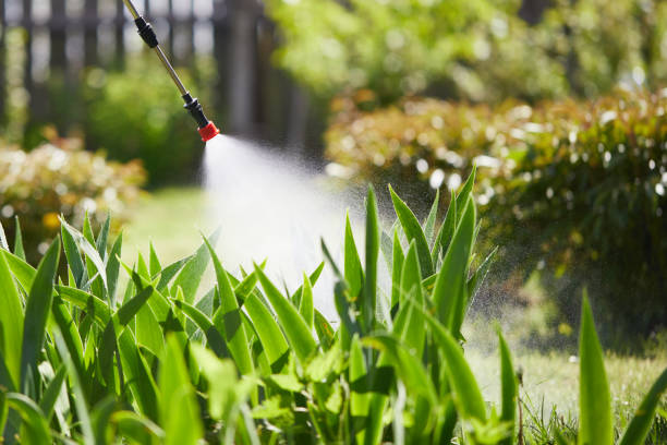 24/7 Emergency Wasp Removal experts in Utica, MI
