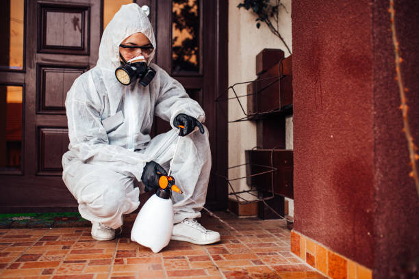 Reliable Wasp Removal contractor in Utica, MI by Show Me Pest Control